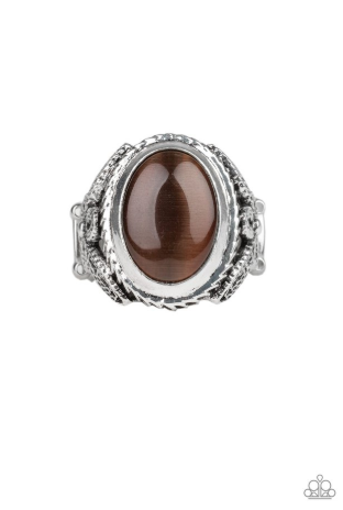 Deep Freeze Brown